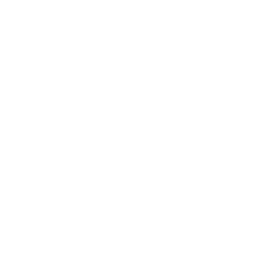 The icon shows a white arrow pointing downwards to a container - as a symbol for downloads.